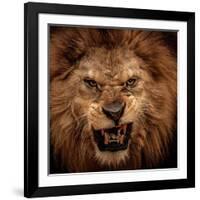 Close-Up Shot Of Roaring Lion-NejroN Photo-Framed Photographic Print