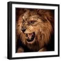 Close-Up Shot of Roaring Lion-NejroN Photo-Framed Photographic Print