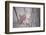 Close-Up Showing the Ankh, Symbol of Life, Being Offered to Sethos I, New Kingdom-Walter Rawlings-Framed Photographic Print