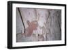 Close-Up Showing the Ankh, Symbol of Life, Being Offered to Sethos I, New Kingdom-Walter Rawlings-Framed Photographic Print