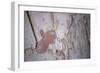 Close-Up Showing the Ankh, Symbol of Life, Being Offered to Sethos I, New Kingdom-Walter Rawlings-Framed Photographic Print