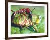 Close Up Side View of a Driver Ant Attacking a Grasshopper, Africa-Carlo Bavagnoli-Framed Photographic Print