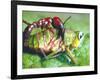 Close Up Side View of a Driver Ant Attacking a Grasshopper, Africa-Carlo Bavagnoli-Framed Photographic Print