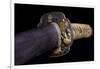 Close-Up View of 19th Century Samurai Sword-null-Framed Photographic Print