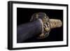 Close-Up View of 19th Century Samurai Sword-null-Framed Photographic Print