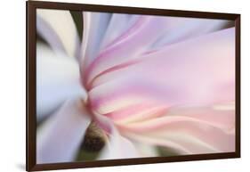 Close-Up View of a Flower-Craig Tuttle-Framed Photographic Print