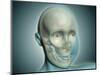 Close-Up View of Human Skull with X-Ray Body-null-Mounted Art Print