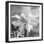 Close up View of Orchard-Philip Gendreau-Framed Photographic Print