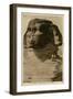 Close-Up View of Sphinx, Giza, Egypt-null-Framed Photographic Print