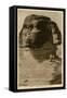 Close-Up View of Sphinx, Giza, Egypt-null-Framed Stretched Canvas