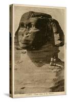 Close-Up View of Sphinx, Giza, Egypt-null-Stretched Canvas