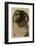 Close-Up View of Sphinx, Giza, Egypt-null-Framed Photographic Print