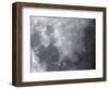 Close-Up View of the Moon-Stocktrek Images-Framed Photographic Print