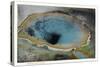 Close-up View of the Morning Glory Spring, Yellowstone National Park, Wyoming-Lantern Press-Stretched Canvas