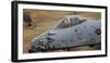 Close-Up View of the Nose Cone on an A-10 Thunderbolt Ii-Stocktrek Images-Framed Photographic Print