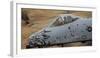 Close-Up View of the Nose Cone on an A-10 Thunderbolt Ii-Stocktrek Images-Framed Photographic Print