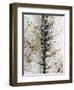 Close Up-Design Fabrikken-Framed Photographic Print