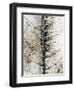 Close Up-Design Fabrikken-Framed Photographic Print