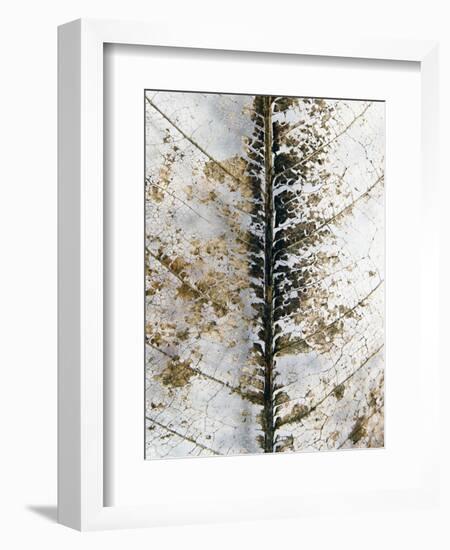 Close Up-Design Fabrikken-Framed Photographic Print