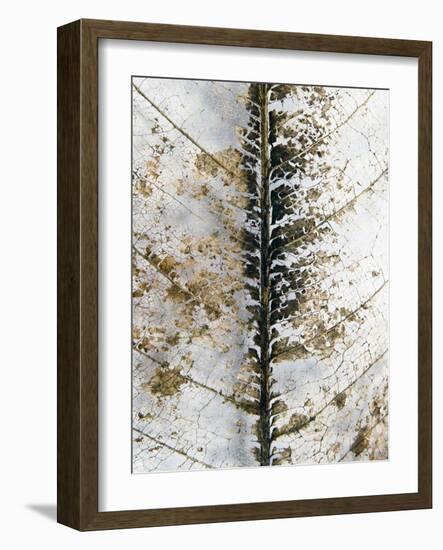 Close Up-Design Fabrikken-Framed Photographic Print