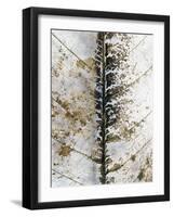 Close Up-Design Fabrikken-Framed Photographic Print