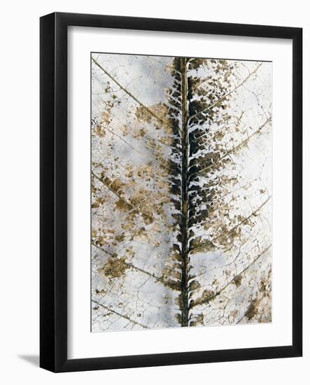 Close Up-Design Fabrikken-Framed Photographic Print