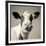 Close Upon a Cows Face-Mark Gemmell-Framed Photographic Print