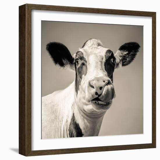 Close Upon a Cows Face-Mark Gemmell-Framed Photographic Print