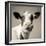 Close Upon a Cows Face-Mark Gemmell-Framed Photographic Print