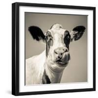 Close Upon a Cows Face-Mark Gemmell-Framed Photographic Print