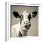 Close Upon a Cows Face-Mark Gemmell-Framed Photographic Print