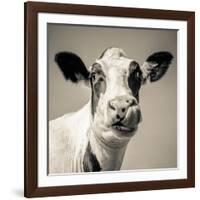 Close Upon a Cows Face-Mark Gemmell-Framed Photographic Print