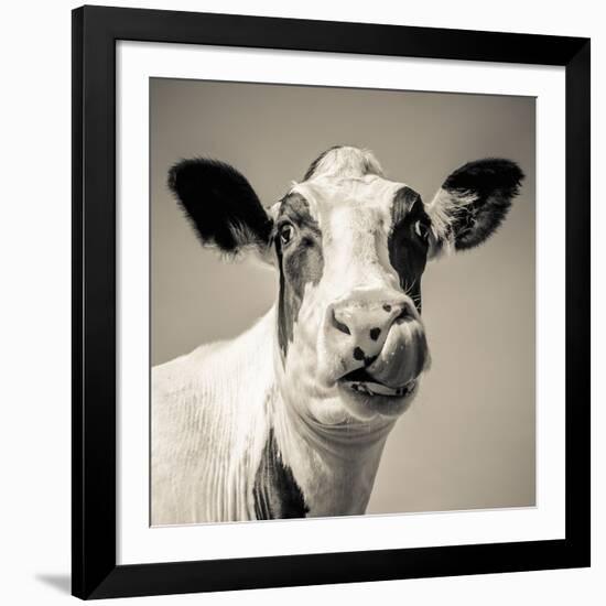 Close Upon a Cows Face-Mark Gemmell-Framed Photographic Print