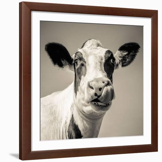 Close Upon a Cows Face-Mark Gemmell-Framed Photographic Print