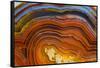 Close Ups of Fortification on Crazy Lace Agate-Darrell Gulin-Framed Stretched Canvas