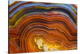 Close Ups of Fortification on Crazy Lace Agate-Darrell Gulin-Stretched Canvas