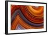 Close Ups of Fortification on Crazy Lace Agate-Darrell Gulin-Framed Photographic Print