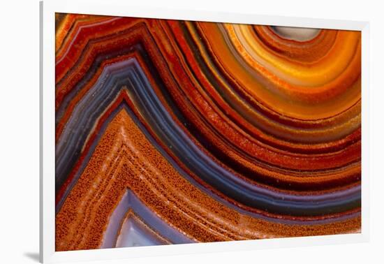 Close Ups of Fortification on Crazy Lace Agate-Darrell Gulin-Framed Photographic Print