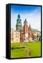 Close View of Royal Archcathedral Basilica-SerrNovik-Framed Stretched Canvas