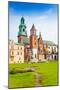 Close View of Royal Archcathedral Basilica-SerrNovik-Mounted Photographic Print