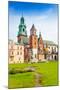 Close View of Royal Archcathedral Basilica-SerrNovik-Mounted Photographic Print