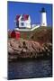 Close View of the Cape Neddick Lighthouse-George Oze-Mounted Photographic Print