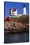 Close View of the Cape Neddick Lighthouse-George Oze-Stretched Canvas