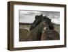 Close-Bragi Ingibergsson --Framed Photographic Print