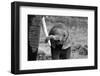 Close-Bjoern Alicke-Framed Premium Photographic Print