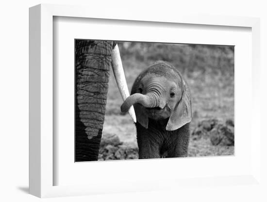 Close-Bjoern Alicke-Framed Premium Photographic Print