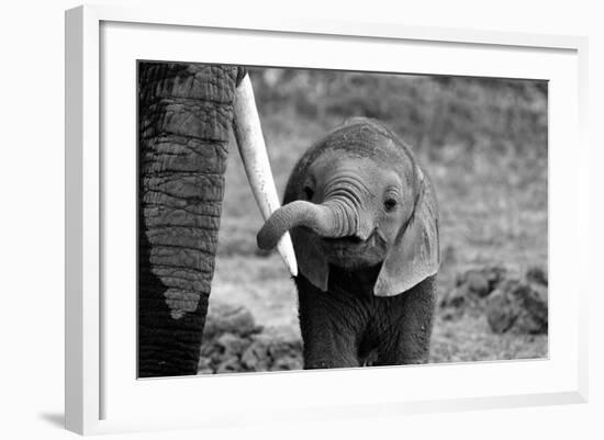 Close-Bjoern Alicke-Framed Photographic Print