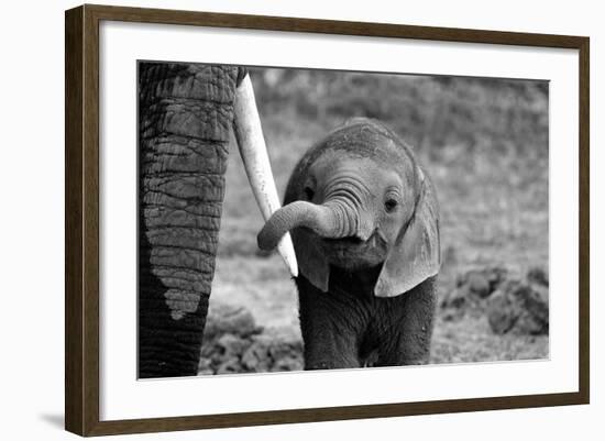 Close-Bjoern Alicke-Framed Photographic Print