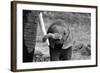 Close-Bjoern Alicke-Framed Photographic Print