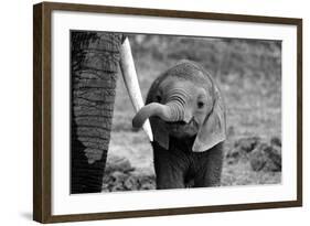 Close-Bjoern Alicke-Framed Photographic Print